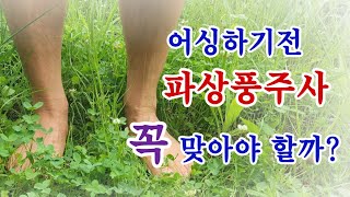 파상풍은 맨발걷기를 하지않는 사람이 더 위험하다