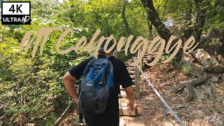 Hiking Cheonggye Mountain in Seoul, Korea -  4K City Sounds ｜청계산