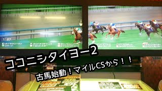 [スタホR] ココニシタイヨー2 古馬始動！マイルCSから！！