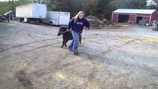 M4H07425.MP4