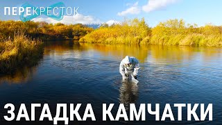 Загадка Камчатки. Отравление океана и людей | ПЕРЕКРЁСТОК