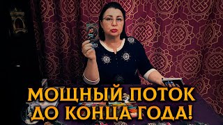 Диана Таро Новые 2022 Год Диана Таро Новые 2022 Год