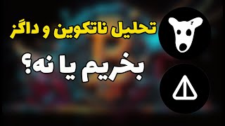 تحلیل نات کوین و داگز| بخریم یا نه؟