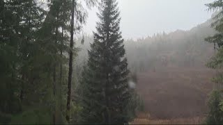 KGW evening forecast 11-2-18