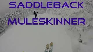 Saddleback - Muleskinner