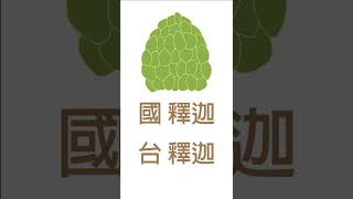 釋迦台語唸法#shorts