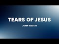 Tears of Jesus