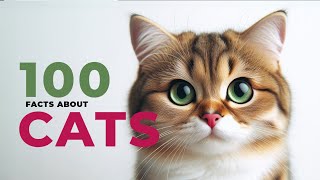 100 Purr-fectly Fun Facts About Cats! 🐱🎉 | DJC Kids