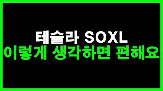 테슬라 SOXL 주식 이렇게 생각하면 편해요