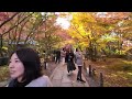 京都・秋の紅葉永観堂・観光客で大賑わい♪【京都観光・京都旅行】kyoto trip・kyoto sightseeing・kyoto travel　 京都vlog 京都