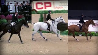 Equitation Tips - Seats on Course