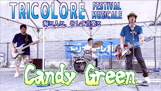 03「Candy Green」[BLANKEY JET CITY] - 19thトリコローレ音楽祭2024 - 宮城県石巻市 2024/08/25