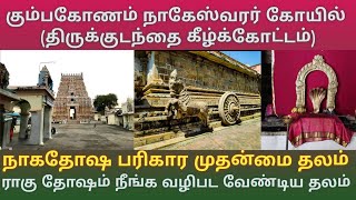 கும்பகோணம் நாகேஸ்வரர் கோயில் நாக தோஷ பரிகார முதன்மை தலம் |ராகு தோஷம் நிவர்த்தி தலம் Nageshwar Temple