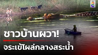 ชาวบ้านผวา จระเข้ตัวเขื่องโผล่กลางสระน้ำ | 30 มี.ค. 67 | คุยข่าวเช้าช่อง8