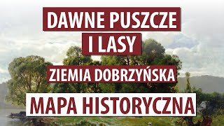 🌳 Ziemia dobrzyńska | Dawne puszcze i lasy | XVI w. | Mapa historyczna