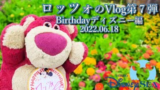 【ロッツォのVlog第7弾】ロッツォの誕生日ディズニーシー編