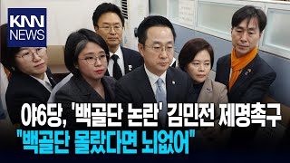 야6당, '백골단 논란' 김민전 제명촉구  \