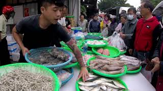 Taiwan seafood auction_The tilapia is still alive.