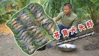 肉肥膏满罗氏虾，加入秘料炸满满一锅，吃的我满身大汉！| Fried Shrimp | 赤脚小仙