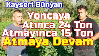 Yoncada Yaprak Gübresinin Düzenli Kullanımı -Tekrarın Önemi - Yonca Gübreleme - Verim - Kalite