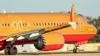 Southwest Desert Gold United's New A321NEO Spotting TPA