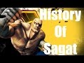 History Of Sagat Street Fighter V