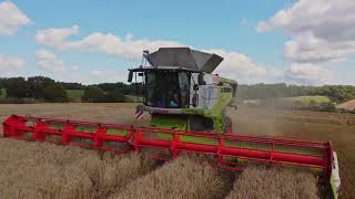 Harvest at Heathcote Farms, Toddington, Bedfordshire.