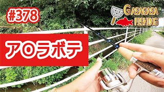 ア〇ラボテ登場！3種目のタナゴを釣るっ！