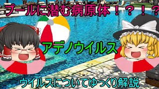 【ゆっくり解説】プールで感染！？！？アデノウイルスについてゆっくり解説