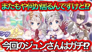 【プリコネR】クリスマスのイベント情報来た‼って‼また何かいるんですけど⁉