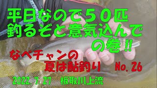 【鮎釣り】平日なので５０匹釣るぞと意気込んでの巻‼なべチャンの夏は鮎釣りNo.26　2022 7 27　板取川上流