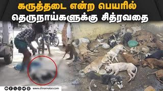 விதிமீறும் அதிகாரிகளால் பரிதாபமாக நிற்கும் தெருநாய்கள்  | Dog | Street Dog | Dog Birth Control