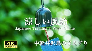 涼しげな風鈴の音と鳥のさえずり. 中軽井沢、小川のせせらぎ. 瞑想,睡眠,学習. Healing Sound. Japanese Traditional Wind Chime.