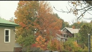 DPW prepares for potential flooding as leaves fall