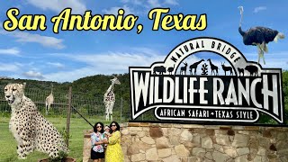 America EP 04: RoadTrip - Houston to San Antonio | Wildlife Safari | River Walk | Roving Couple