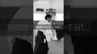 マニアックすぎて伝わらない、日本一分かりにくい「小手返し」公開中 #合気道 #aikido