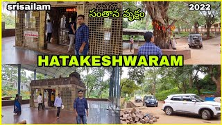 హటకేశ్వర ఆలయం | Hatakeshwara Temple Srisailam | Nallamala Forest | #EvrTravelVlogs