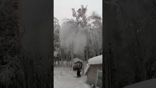 Breaking Free (Tree Snow Removal) #shorts