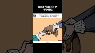 사람들이 잘 모르는 동물들의 신기한 사실들