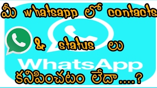 Whatsapp contacts and status options not showing telugu
