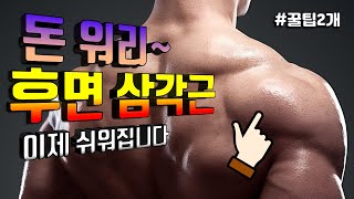 후면 삼각근 자극이 어려운 이유. 이것만 알면 진짜 쉬워집니다.