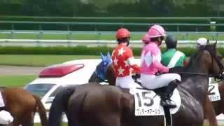 レッドヴィラーゴ　in 阪神競馬場　at 2015.09.13.　＃３