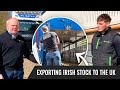 Exporting Irish Stock to the UK