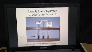 Lab 3 Molecules of living cells part 1