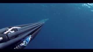 Spearfishing West Africa HD