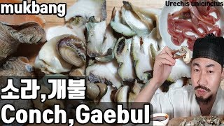 소라 개불 / Conch  Urechis unicinctus  / mukbang 혼술 - 슬기로운양딱(yangddak) ASMR