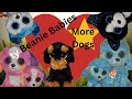 ty Beanie Baby Dog Collection Part 2 Boos and Buddies