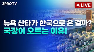 [01월 03일 오전 방송 전체보기] 2년 연속 20% 넘게 오른 미국증시, 트럼프+머스크 조합 속 대응전략은? /트럼프·정치 '더블 리스크'…을사년 국내증시 극복 전략