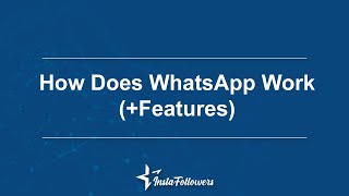How Does WhatsApp Work?