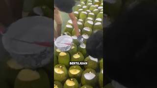 Mengapa Kapur Sirih Penting untuk Buah Nangka #shorts